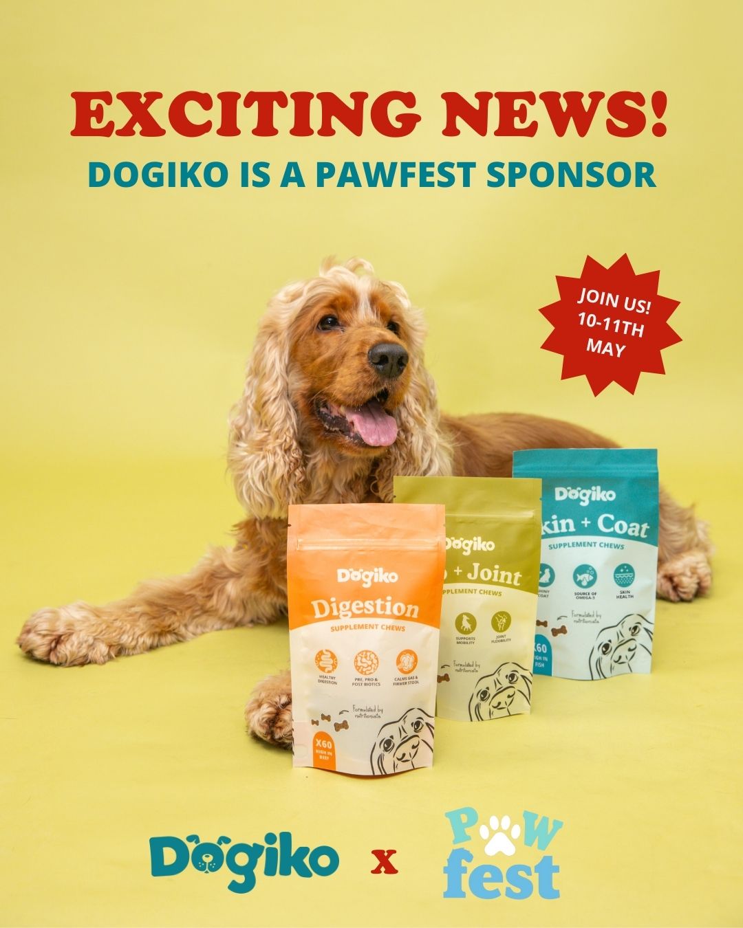 Dogiko is a PawFest sponsor!