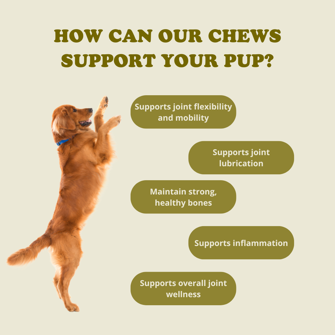 Hip + Joint Chews