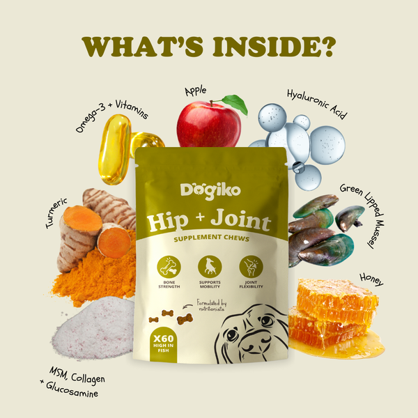 Hip + Joint Chews