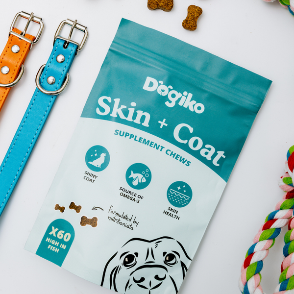 Skin + Coat Chews